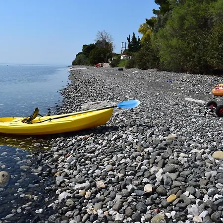 Faros Seaside - 250 Sqm In Of Evia
